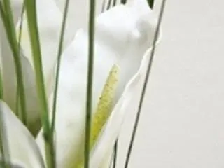 酒店 Boutique Oberkassel 3*