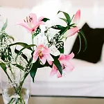 Boutique Oberkassel Ξενοδοχείο 3*