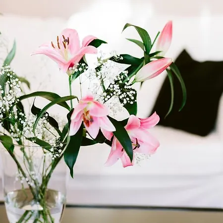 Boutique Oberkassel Hotel 3*