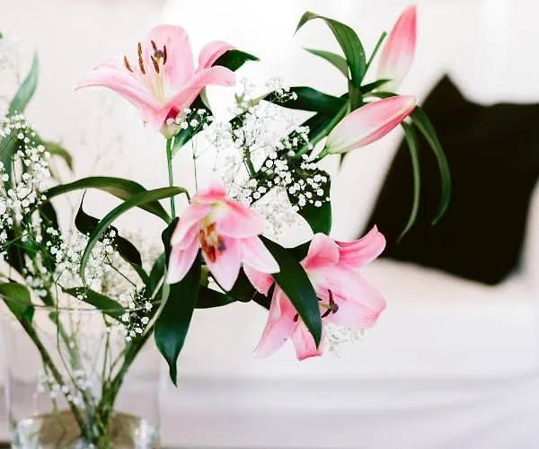 Boutique Oberkassel فندق 3*